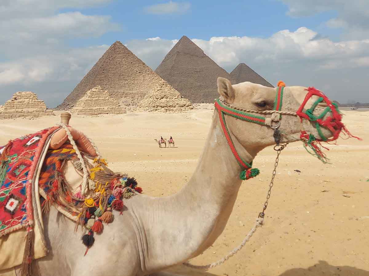  day trips to pyramids from sharm el sheikh