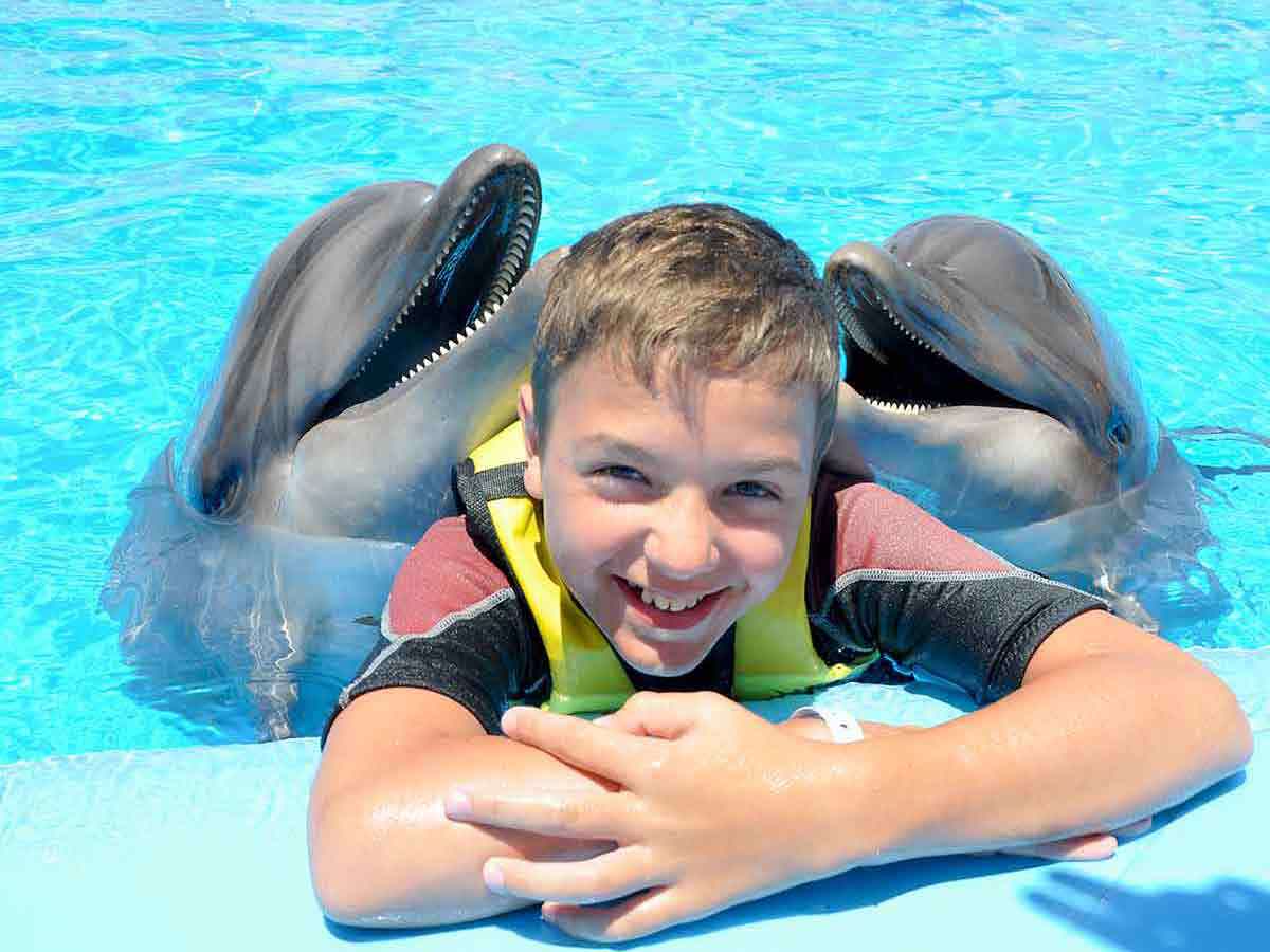 Swim With Dolphins Sharm El Sheikh