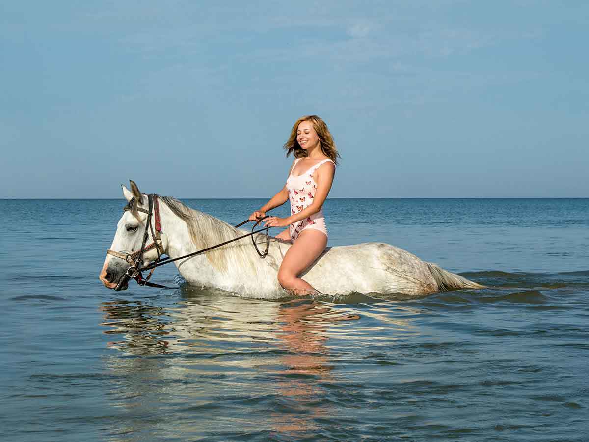 Horse Ride With Swimming