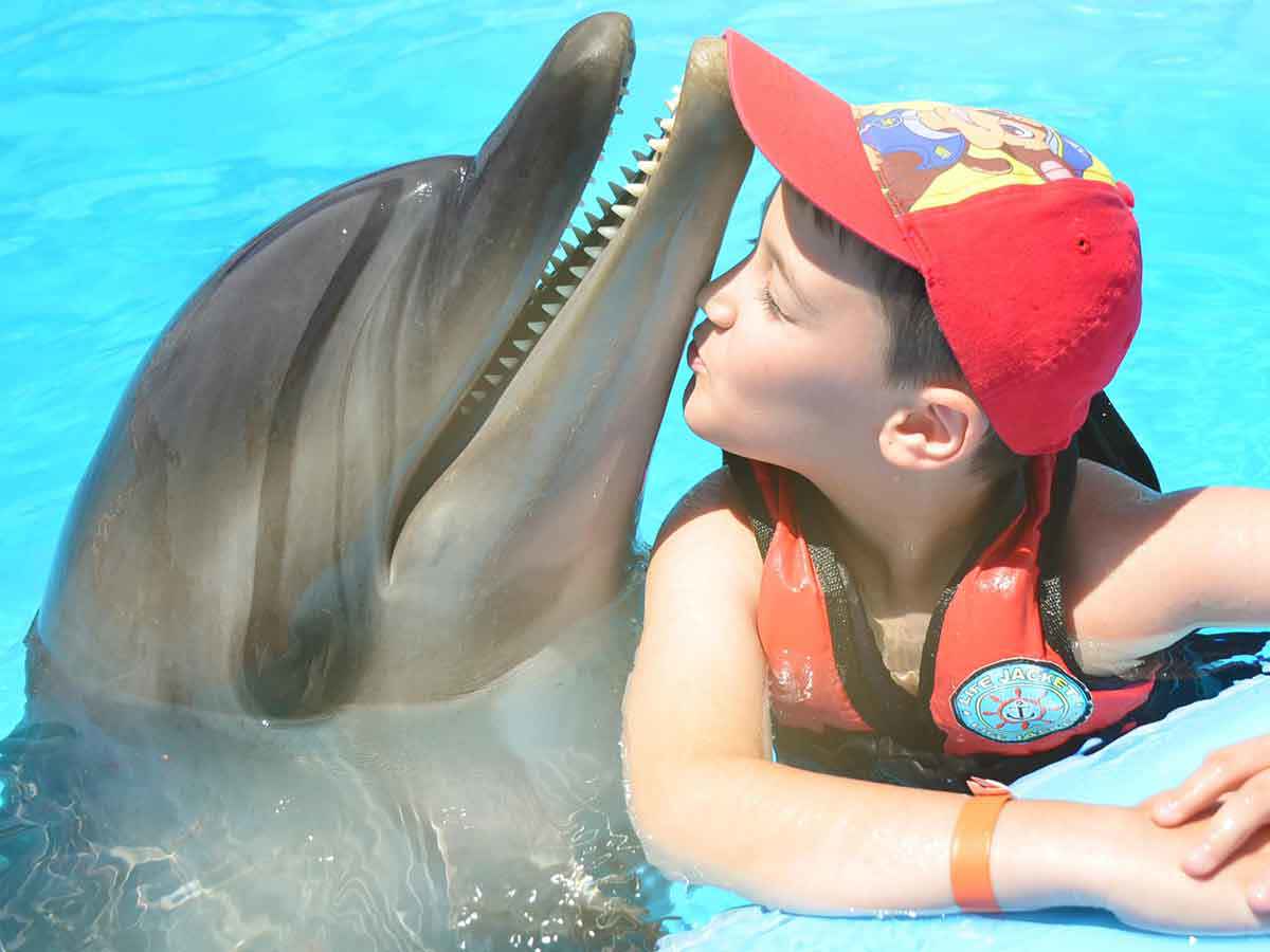 Фотосессия с Дельфинами