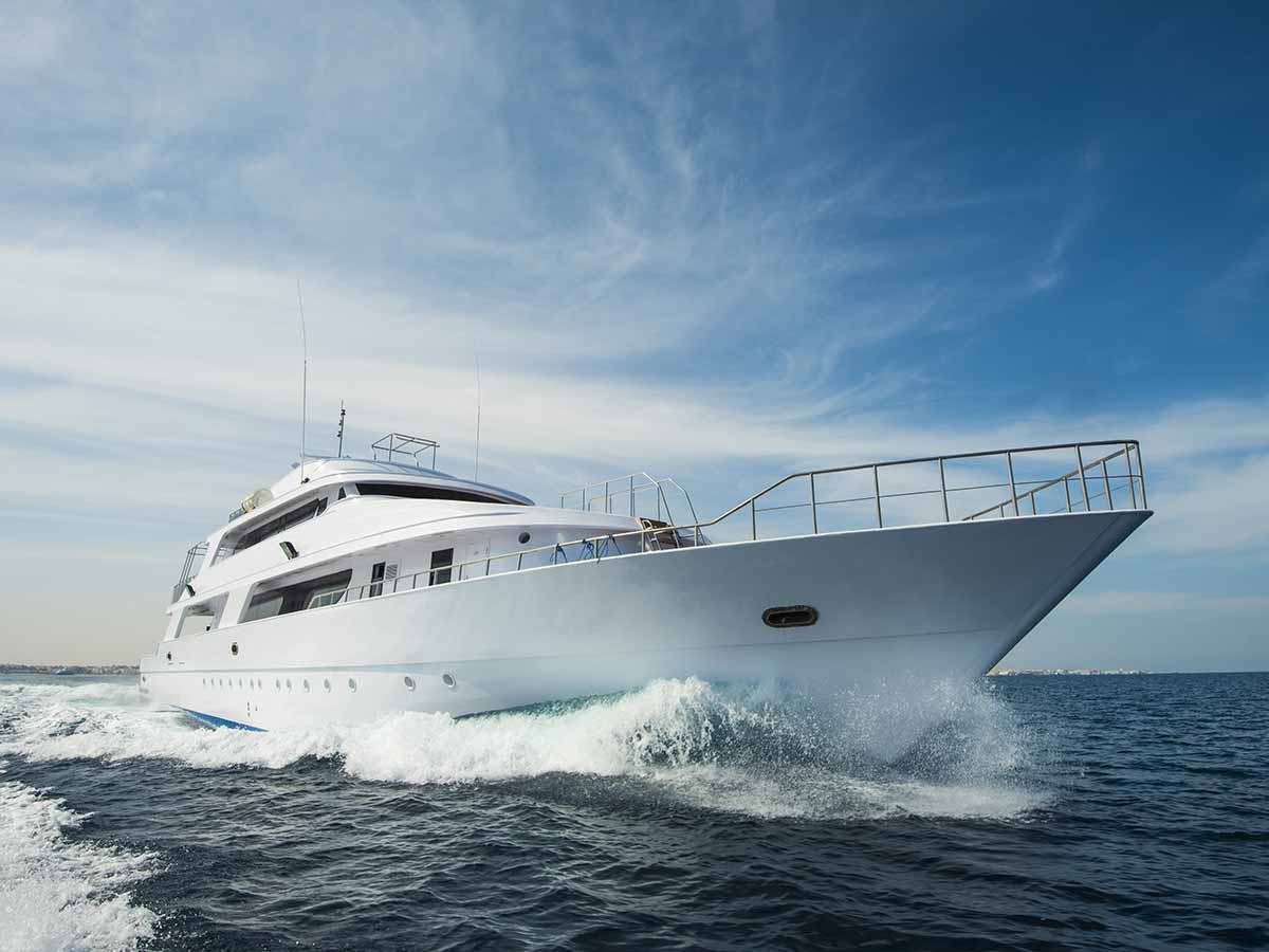 private boat trip sharm el sheikh