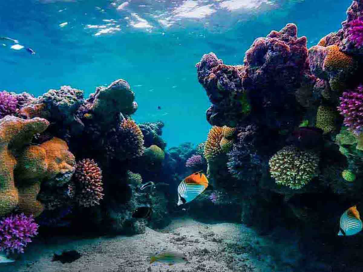 Sharm el Naga Snorkeling